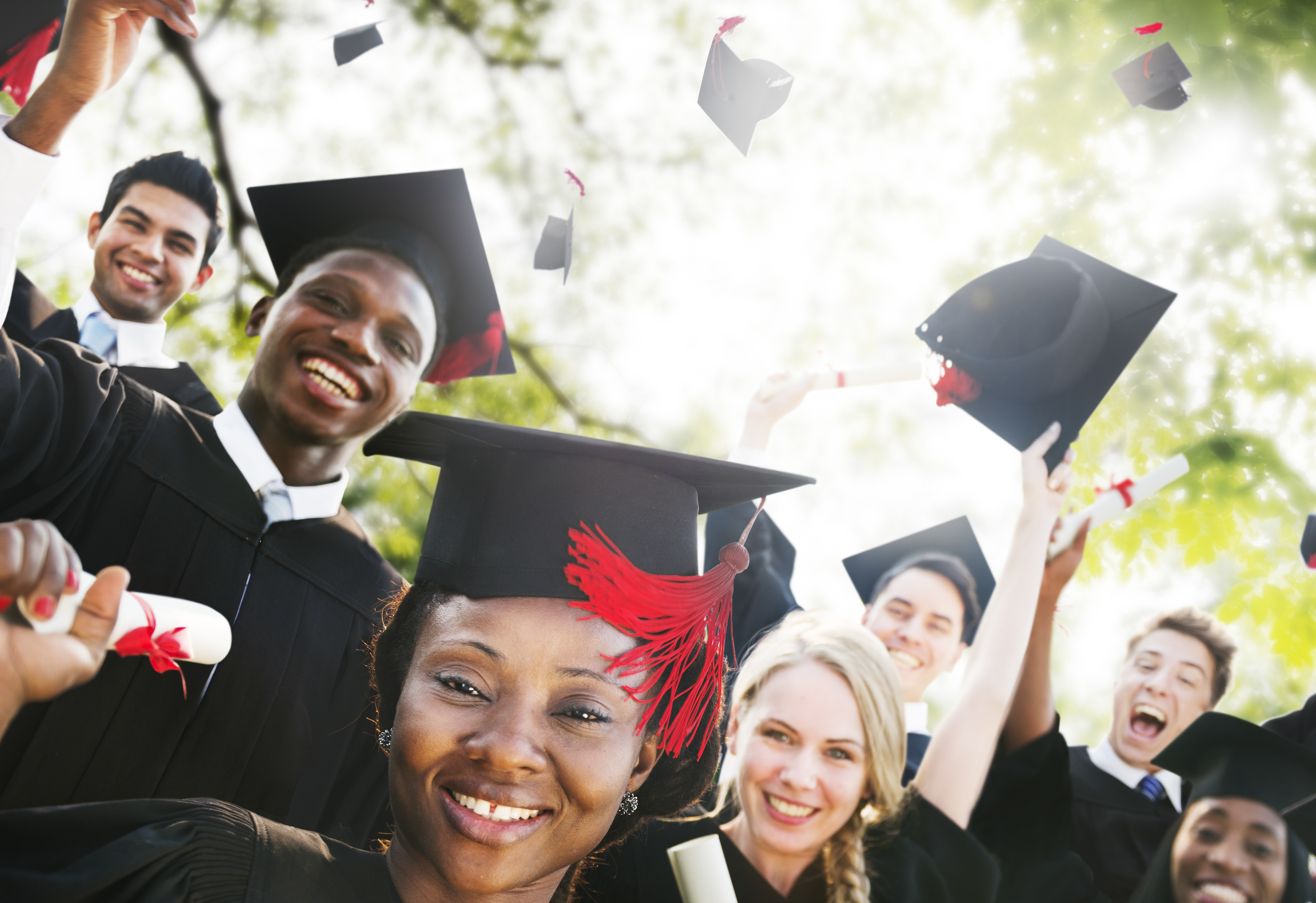 Graduate Programme